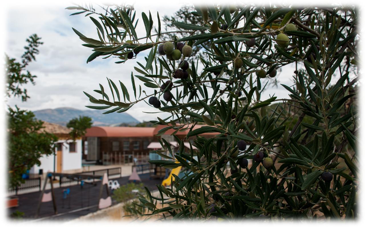 Hotel - Restaurante Estacion Via Verde Ольвера Екстер'єр фото